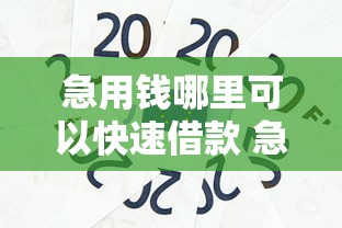 急用钱哪里可以快速借款 急需小额贷款安全可靠的平台推荐