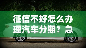 征信不好怎么办理汽车分期？急需不看征信的购车贷款方案