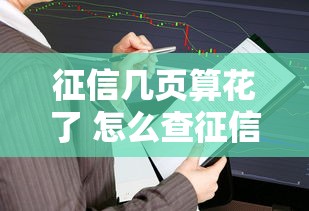 征信几页算花了 怎么查征信报告