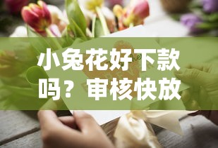 小兔花好下款吗？审核快放款稳的小额贷款平台推荐