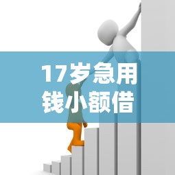 17岁急用钱小额借款快速到账