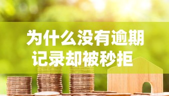 为什么没有逾期记录却被秒拒 信用良好贷款被拒原因及解决办法