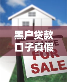 黑户贷款口子真假揭秘与避坑指南