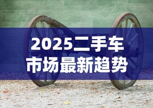 2025二手车市场最新趋势解析