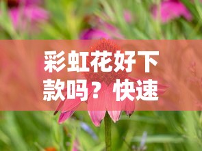 彩虹花好下款吗？快速下款低门槛的彩虹花借款攻略