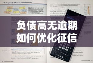 负债高无逾期如何优化征信记录