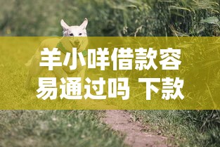 羊小咩借款容易通过吗 下款快不快审核条件有哪些