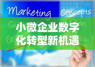 小微企业数字化转型新机遇解析