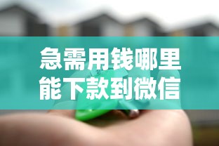 急需用钱哪里能下款到微信的网贷？安全快速到账的借款平台推荐