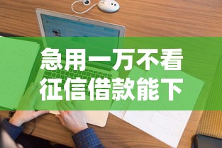 急用一万不看征信借款能下款吗