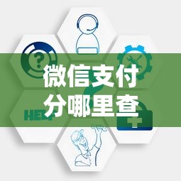 微信支付分哪里查询？安全快速查询方法和步骤