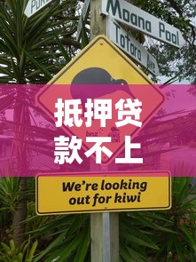 抵押贷款不上征信后果解析