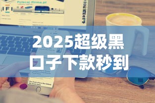 2025超级黑口子下款秒到账