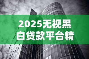 2025无视黑白贷款平台精选