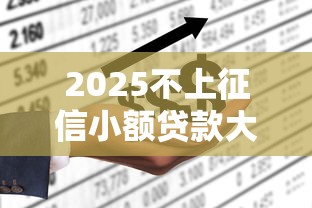 2025不上征信小额贷款大全