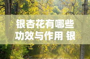 银杏花有哪些功效与作用 银杏花的药用价值和养生方法