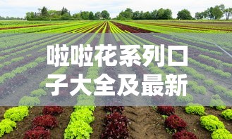 啦啦花系列口子大全及最新推荐