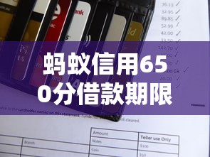蚂蚁信用650分借款期限选择指南