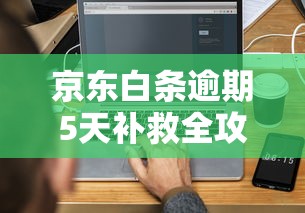 京东白条逾期5天补救全攻略