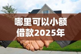 哪里可以小额借款2025年最新消息！阐述五个网贷口子可以小额贷款
