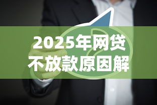 2025年网贷不放款原因解析