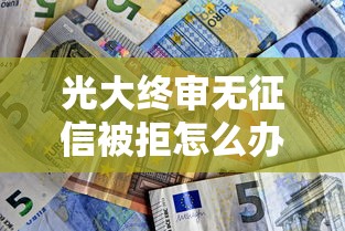 光大终审无征信被拒怎么办？教你三招破解银行拒贷难题