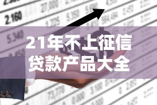 21年不上征信贷款产品大全