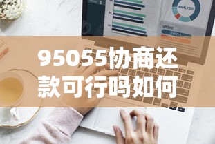 95055协商还款可行吗如何操作