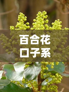 高炮714秒下借款平台马上到账