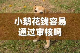 容易下款的小额贷2025年抢先知道！严筛这5个网贷口子的小额借款容易下款