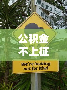 公积金不上征信的影响解析