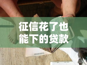 征信花了也能下的贷款有哪些
