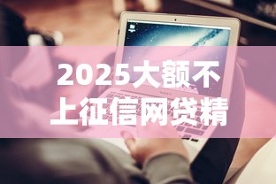 2025大额不上征信网贷精选