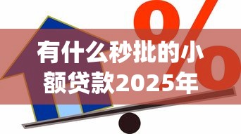 有什么秒批的小额贷款2025年借款必学技巧！本文提及这5个网贷口子借款秒批小额_1