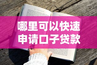 哪里可以快速申请口子贷款