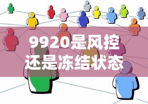 9920是风控还是冻结状态解析