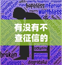 有没有不查征信的网贷2025年内部攻略！我们一起来了解一下！