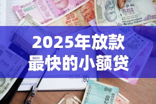 2025年放款最快的小额贷款银行