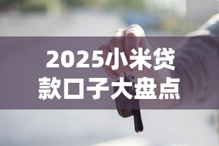 2025小米贷款口子大盘点
