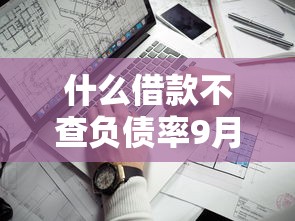 什么借款不查负债率9月多人推荐！本文评析5个贷款审核得几个工作日通过