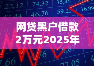 网贷黑户借款2万元2025年内部资讯！严选这5个网贷黑户贷款两万口子