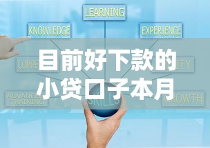 目前好下款的小贷口子本月快速放款技巧！为您汇总5个借款平台现在容易放款