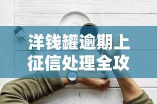 洋钱罐逾期上征信处理全攻略