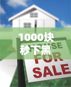 1000块秒下黑口子真实借款教程
