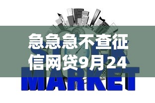 急急急不查征信网贷9月24日最新揭秘！权威罗列5个网贷到年底不通过