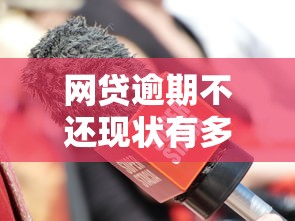 网贷逾期不还现状有多普遍