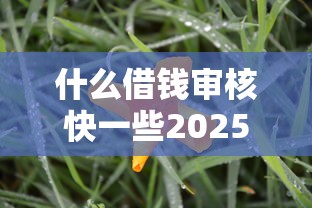 什么借钱审核快一些2025年最新动态！本文为您深入精挑！