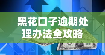 黑花口子逾期处理办法全攻略