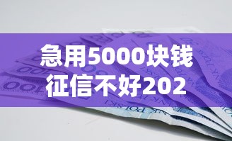 急用5000块钱征信不好2025年这些足矣！本文细数丰穗钱包以及房钱宝等五个借款平台