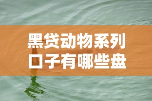 黑贷动物系列口子有哪些盘点